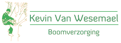 Kevin Van Wesemael